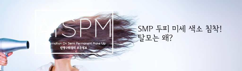 SMP 두피 미세 색소 침착 11