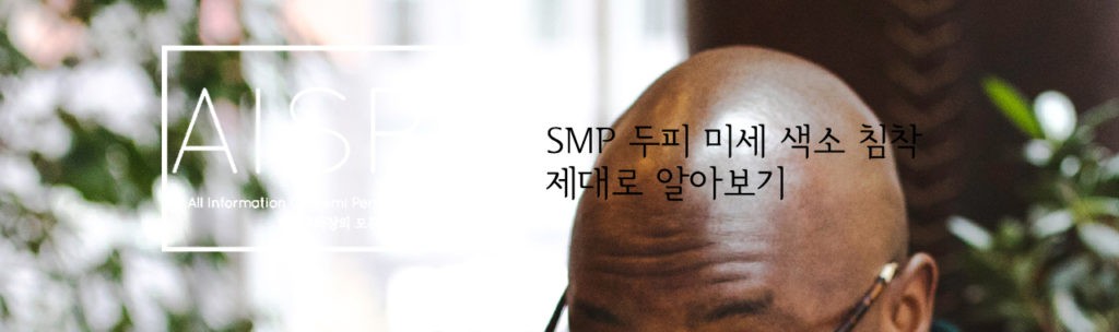 SMP 두피 미세 색소 침착 4